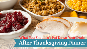 What You Shouldn’t Put Down Your Drain after Thanksgiving Dinner