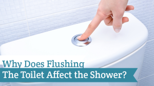 Why Does Flushing the Toilet Affect the Shower?