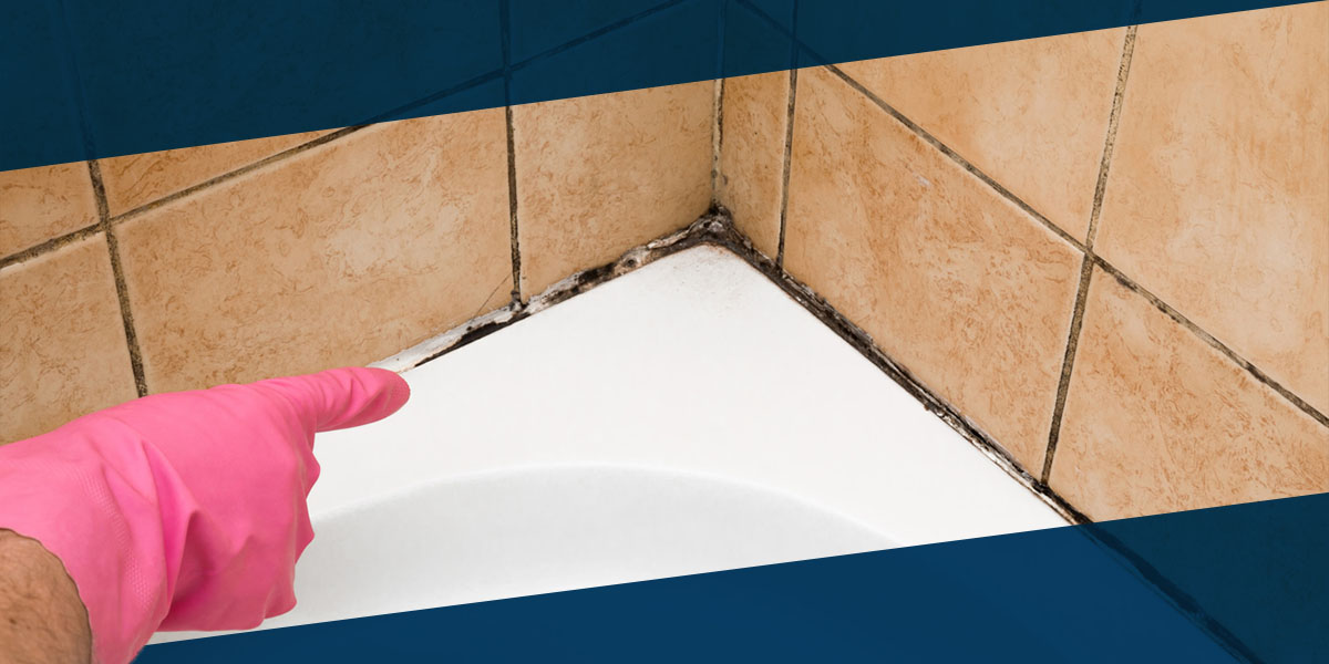How to Identify and Prevent Bathroom Mold