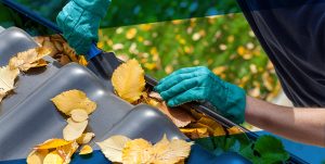 Guide to Removing Leaves From Gutters